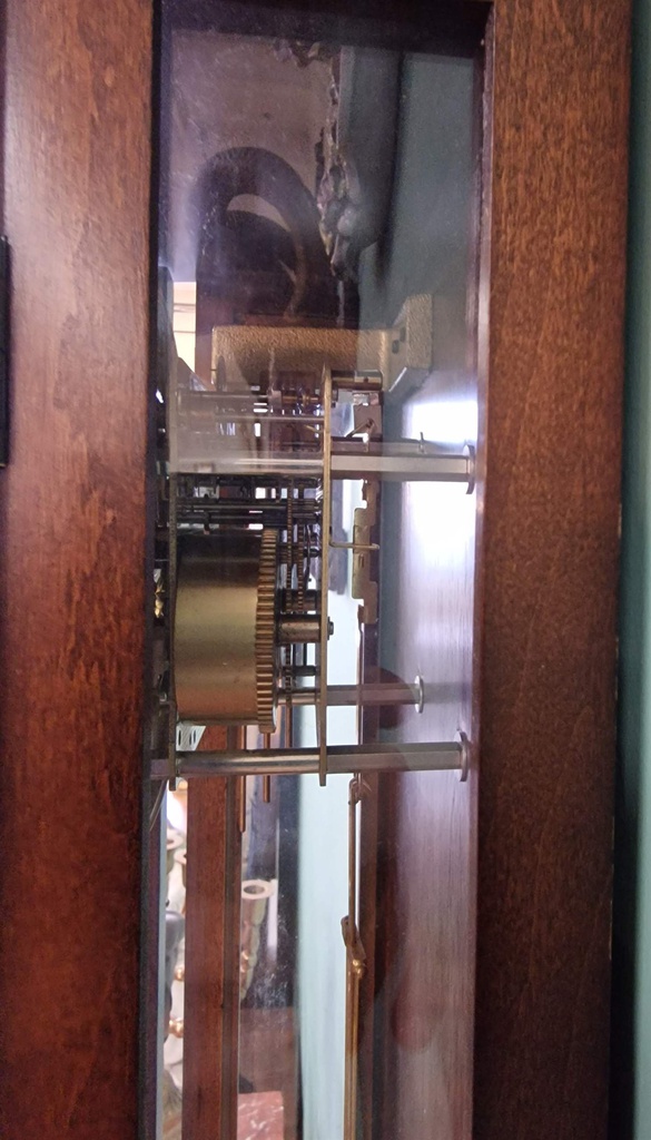 20250409_131721.jpg